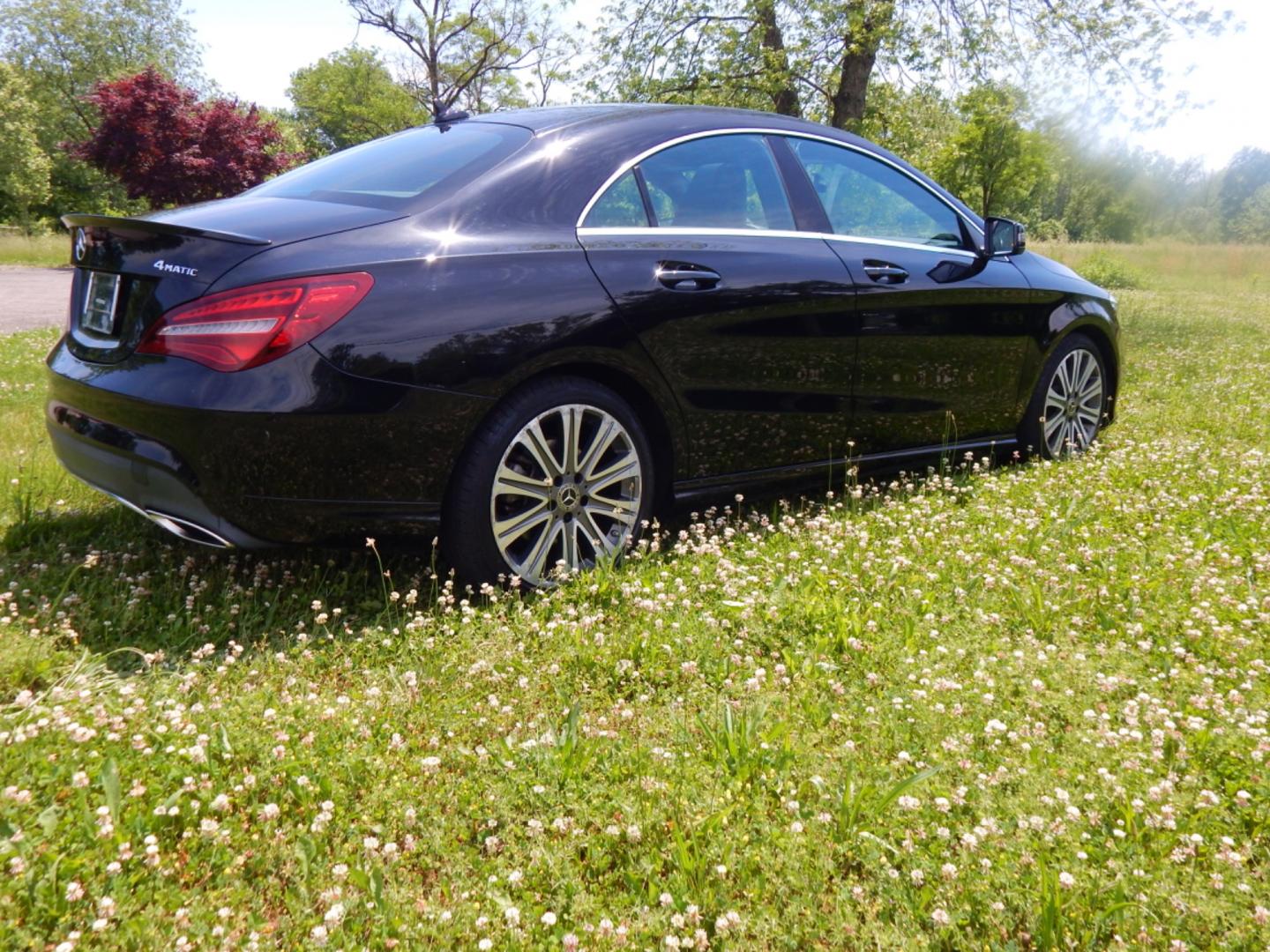 2019 Black /Black Leather Mercedes-Benz CLA-Class CLA250 4MATIC (WDDSJ4GB2KN) with an 2.0L L4 DOHC 16V engine, 7A transmission, located at 6528 Lower York Road, New Hope, PA, 18938, (215) 862-9555, 40.358707, -74.977882 - Here we have a beautiful Mercedes CLA 250 with a 2.0L 4 cylinder engine putting power to all four wheels via an automatic transmission. Options include: black leather, dual power seats, dual climate controls, AM/FM/CD/MEDIA and navigation radio, tilt steering wheel, cruise control, automatic headlig - Photo#5